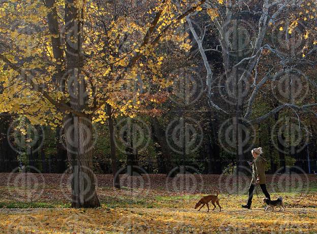 Steirischer Herbst