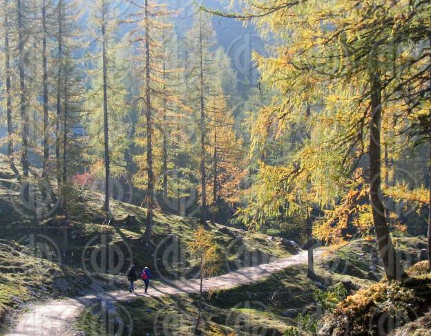 Herbst am Dachstein