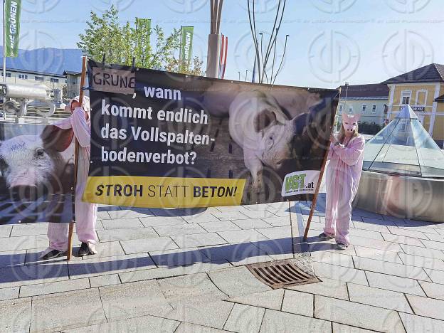 Bundeskongress der Grünen in Villach am 30.04.2022