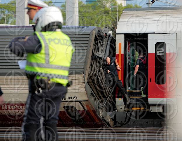 Zugunglueck Wien-Bahnhof Meidling