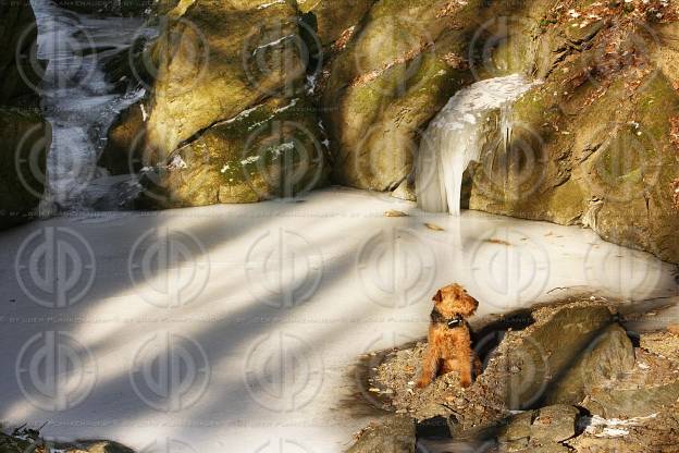 Rettenbachklamm im Winter