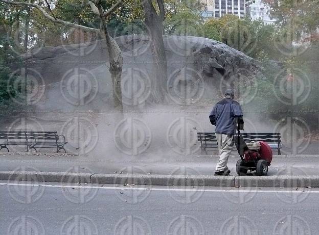 Central Park NYC