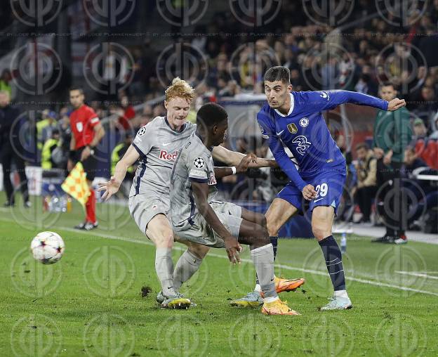 Champions League FC Salzburg vs. Chelsea FC (1:2) am 25.10.2022