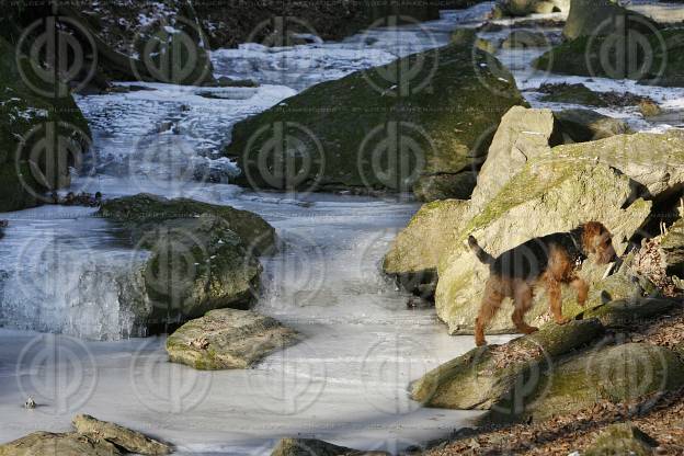 Rettenbachklamm im Winter