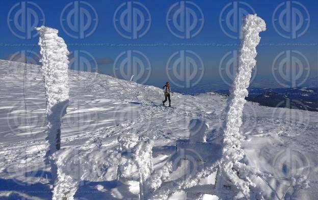 Schneeschuhwandern am 09.01.2021