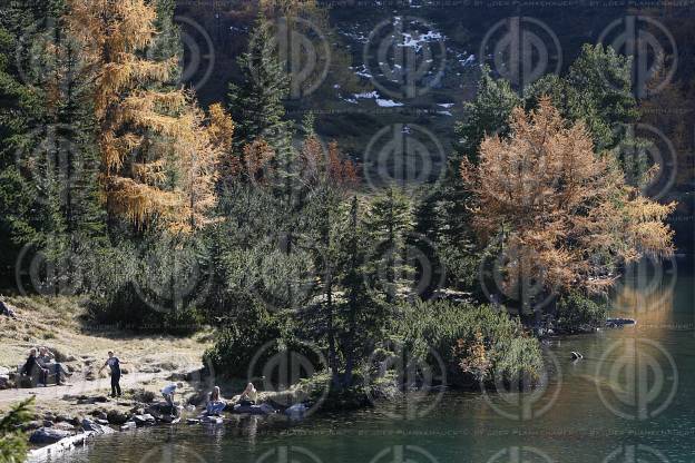 Scheibelsee