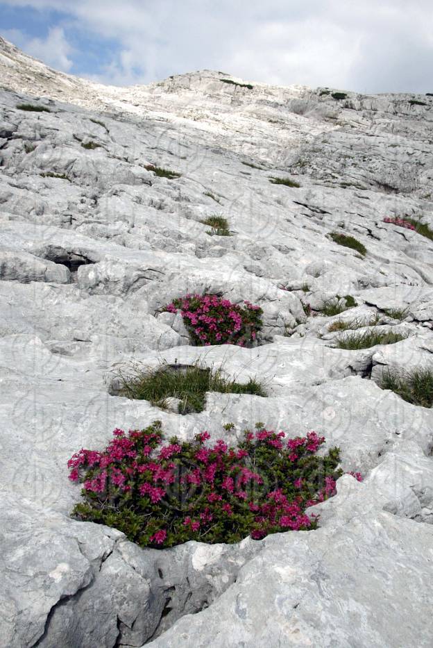 Bergwanderung  zum grossen Tragl im Toten Gebirge