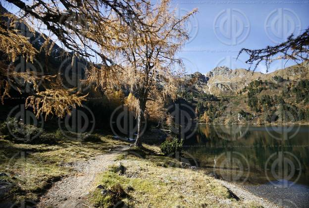 Scheibelsee mit Bösenstein