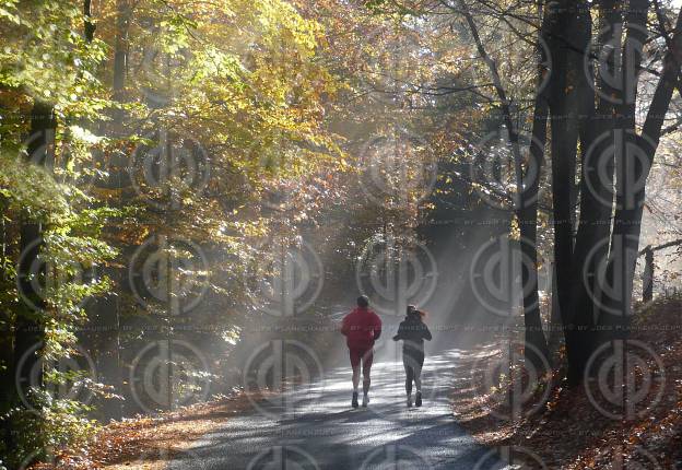 Herbststimmung