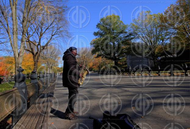 Central Park NYC