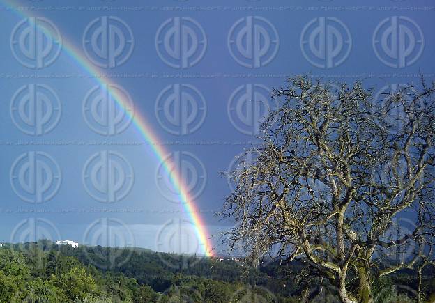 Regenbogen nach Gewitter