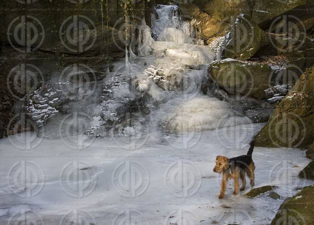 Rettenbachklamm im Winter