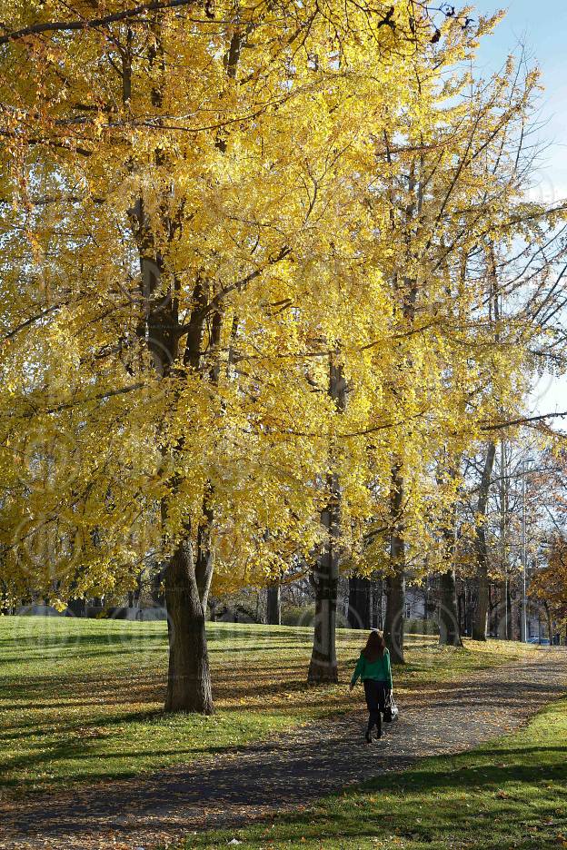 Herbststimmung