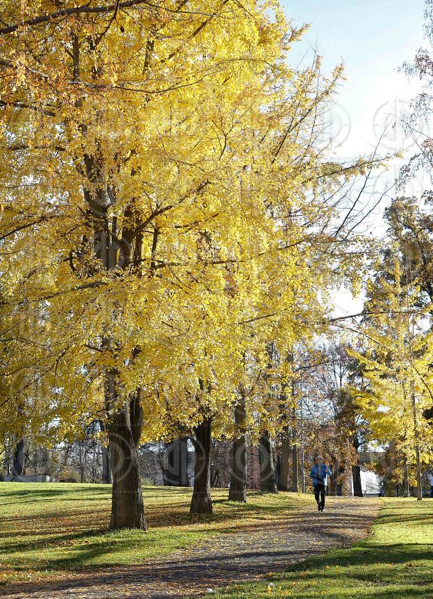 Herbststimmung