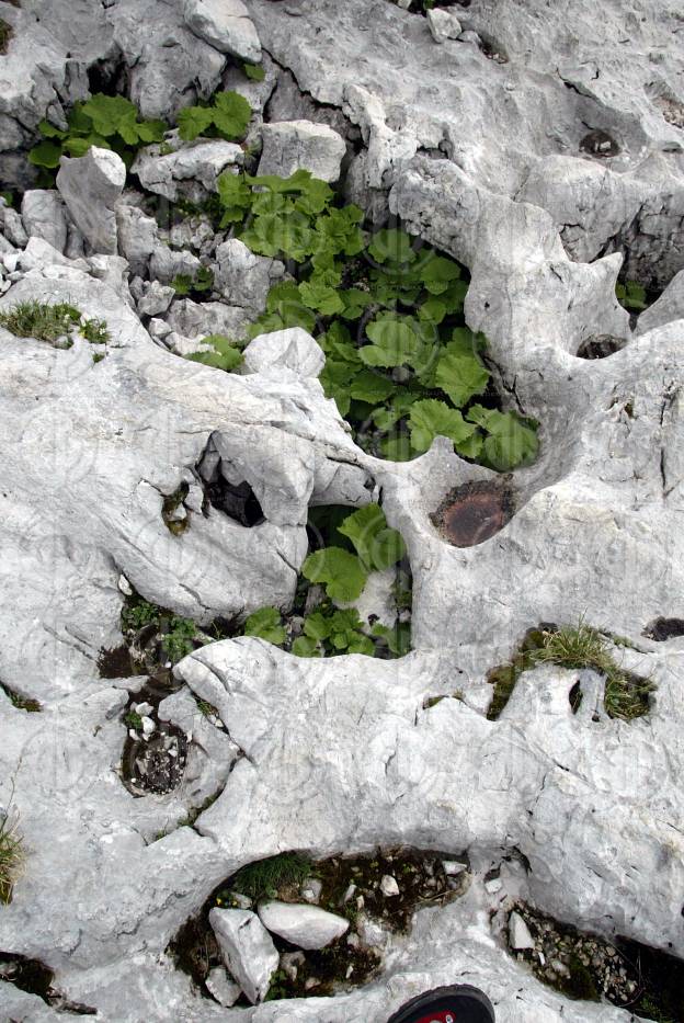 Bergwanderung  zum grossen Tragl im Toten Gebirge