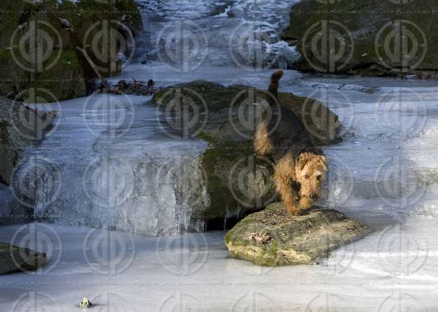 Rettenbachklamm im Winter