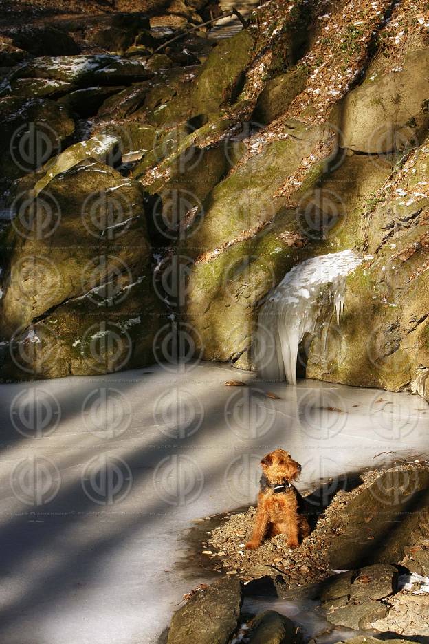 Rettenbachklamm im Winter