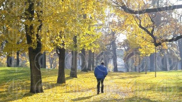 Steirische Parks