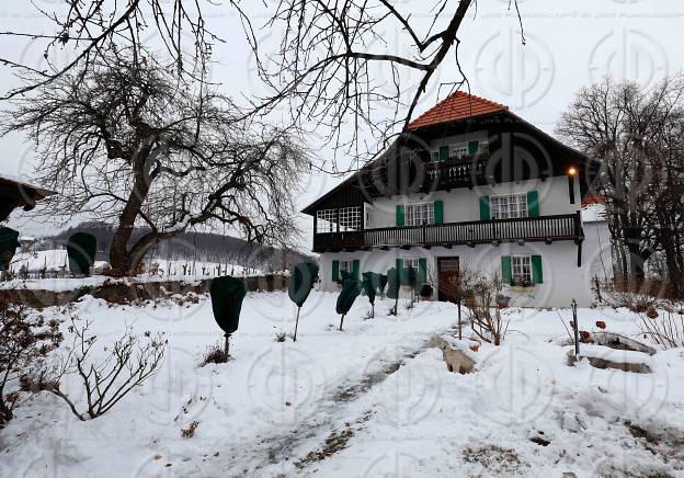 Weinland im Winter