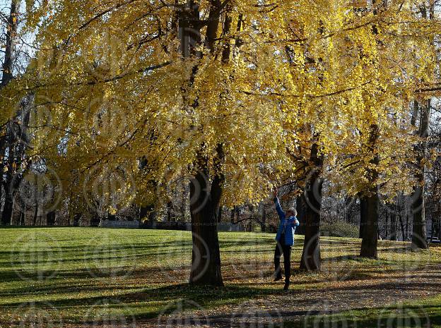 Herbststimmung