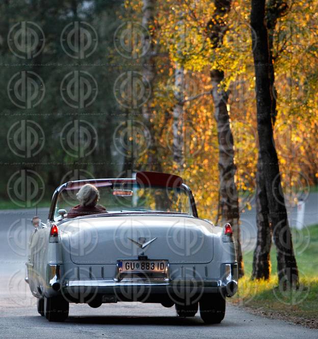 Oldtimer im Herbst