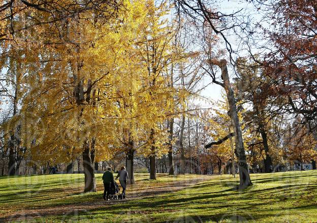 Herbststimmung